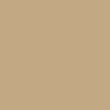 GAN generated portrait